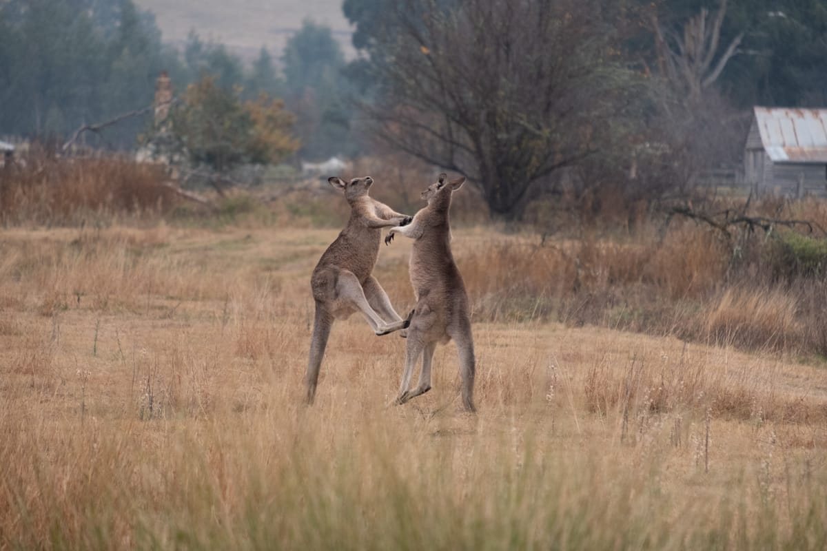 Australia: Wolgan Valley